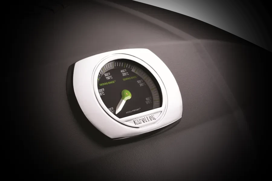 Портативный электрический гриль NAPOLEON® TravelQ PRO-285E